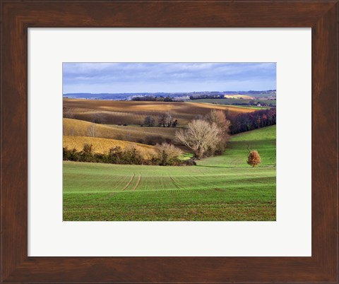 Framed Pastoral Countryside XVII Print