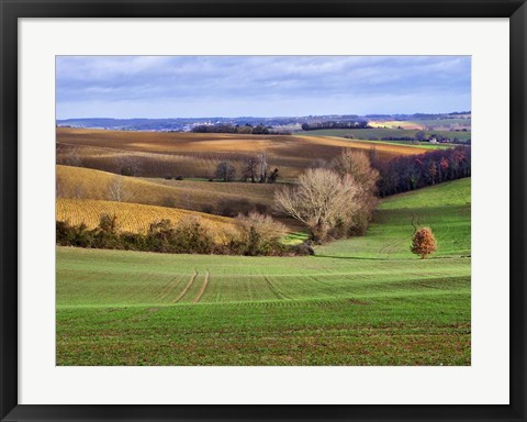 Framed Pastoral Countryside XVII Print