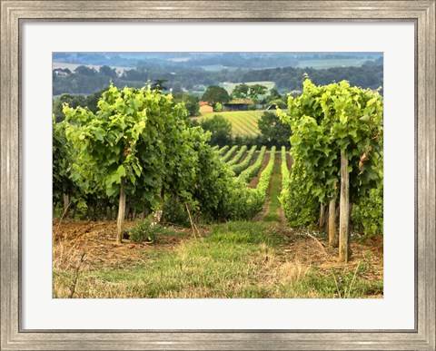 Framed Pastoral Countryside XIX Print