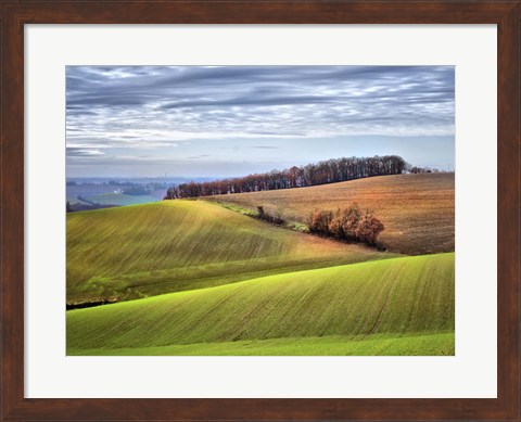 Framed Pastoral Countryside XX Print