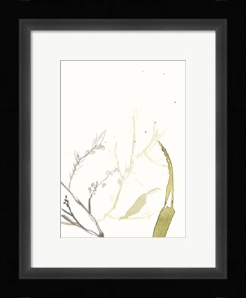 Framed Under Sea Forest II Print