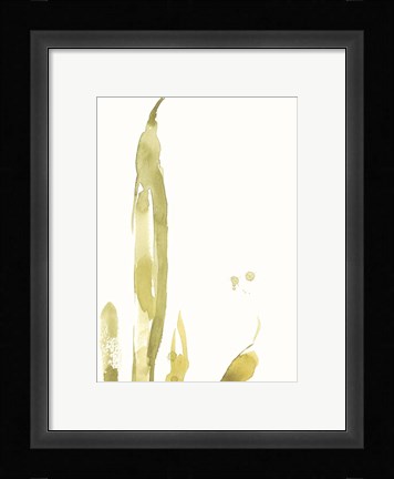 Framed Under Sea Forest III Print