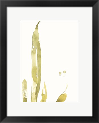 Framed Under Sea Forest III Print