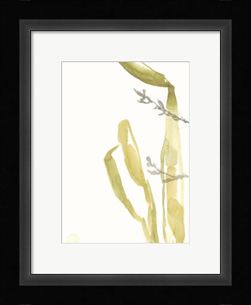 Framed Under Sea Forest IV Print