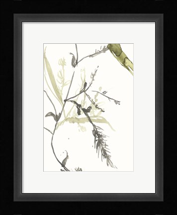 Framed Under Sea Forest V Print