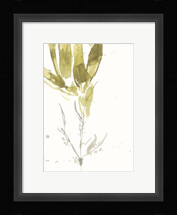 Framed Under Sea Forest VI Print