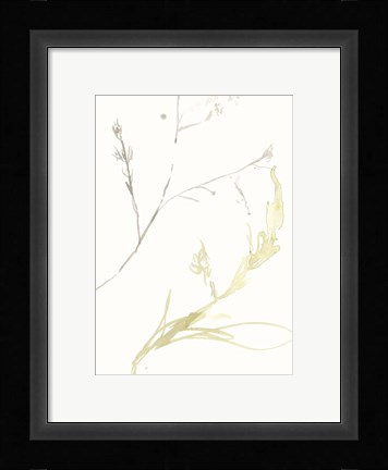 Framed Under Sea Forest IX Print