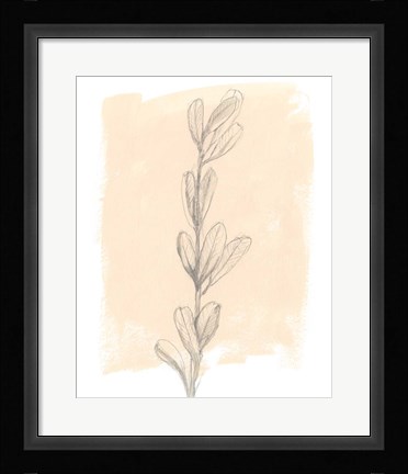 Framed Branch on Blush II Print