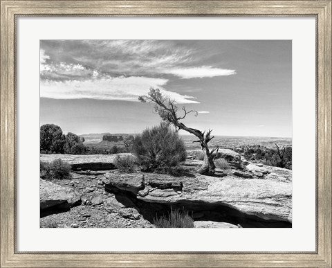 Framed Canyon Lands IV Print