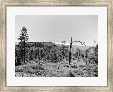 Framed Canyon Lands V Print