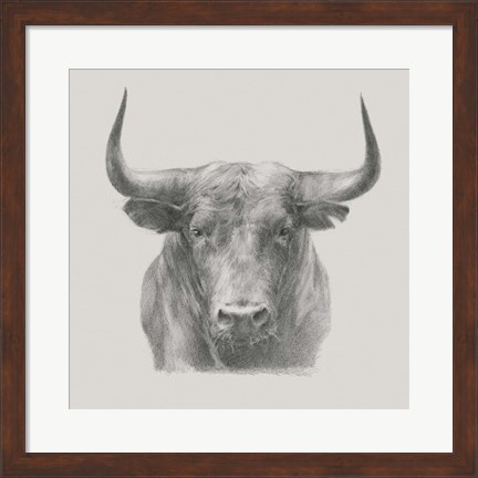Framed Black Bull Print