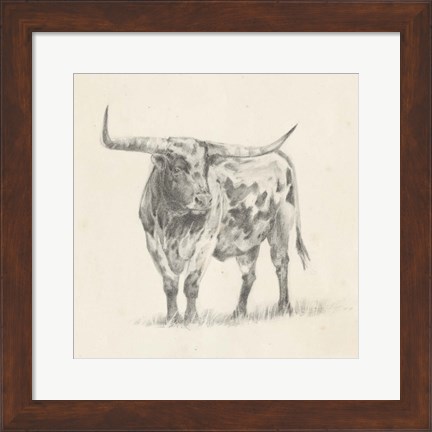 Framed Longhorn Steer Sketch II Print