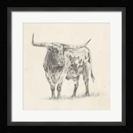 Framed Longhorn Steer Sketch II Print