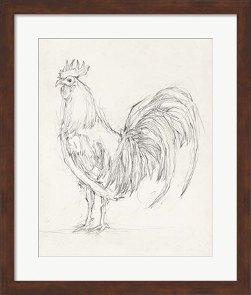 Framed Rooster Sketch II Print