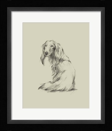 Framed Puppy Dog Eyes II Print