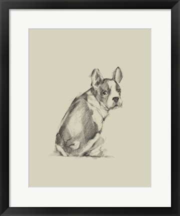 Framed Puppy Dog Eyes IV Print
