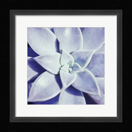 Framed Ultra Violet I Print