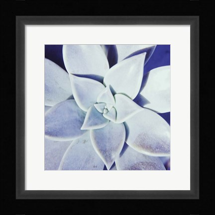 Framed Ultra Violet II Print