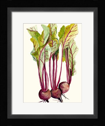Framed Early Harvest II Print