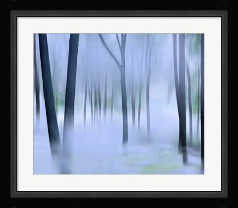 Framed Misty Mountains XVI Print