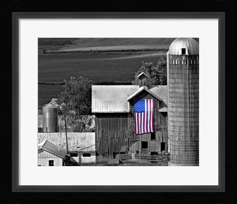 Framed Flags of Our Farmers XI Print