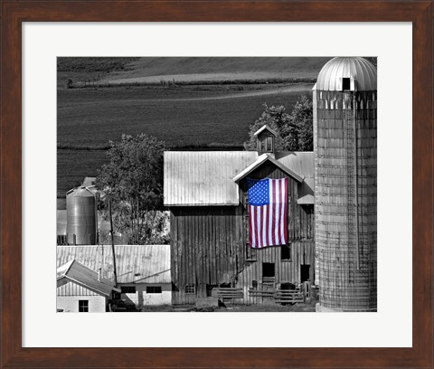 Framed Flags of Our Farmers XI Print