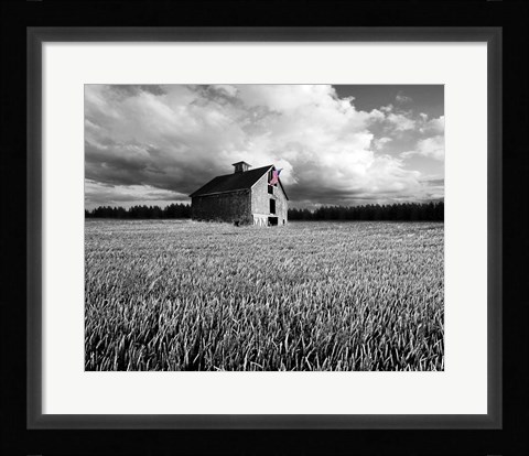 Framed Flags of Our Farmers XIII Print