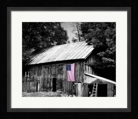 Framed Flags of Our Farmers III Print