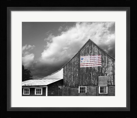 Framed Flags of Our Farmers VII Print