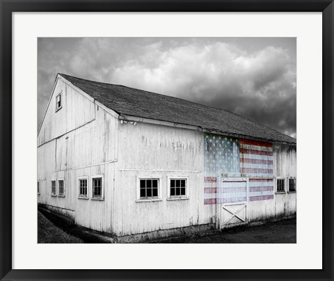 Framed Flags of Our Farmers VIII Print