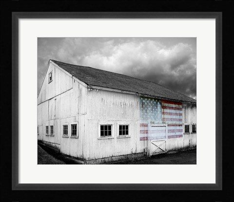 Framed Flags of Our Farmers VIII Print