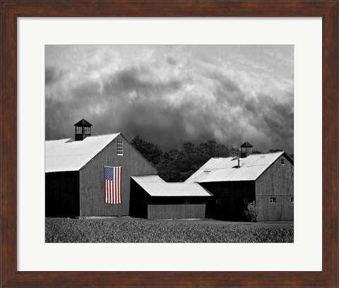 Framed Flags of Our Farmers XV Print