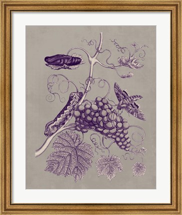 Framed Nature Study in Plum &amp; Taupe III Print