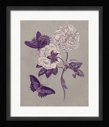Framed Nature Study in Plum &amp; Taupe IV Print