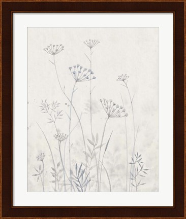 Framed Neutral Queen Anne&#39;s Lace I Print