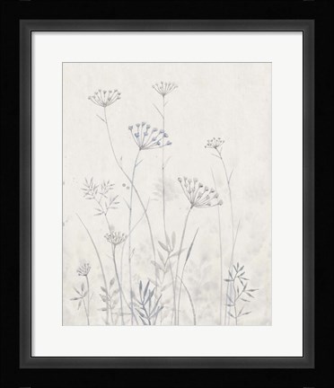 Framed Neutral Queen Anne's Lace I Print