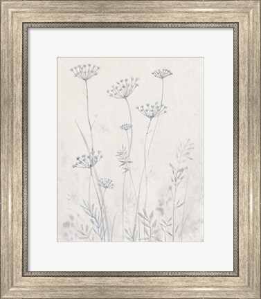Framed Neutral Queen Anne&#39;s Lace II Print