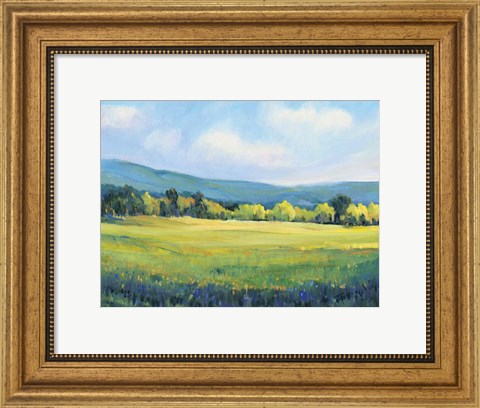 Framed Partly Cloudy II Print