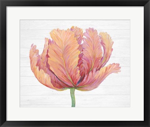 Framed Single Pink Bloom I Print