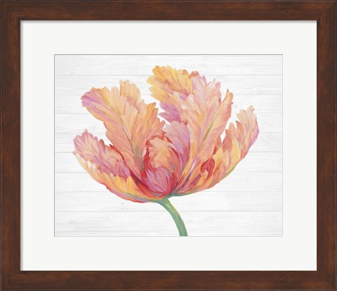 Framed Single Pink Bloom II Print