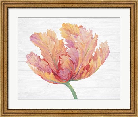 Framed Single Pink Bloom II Print