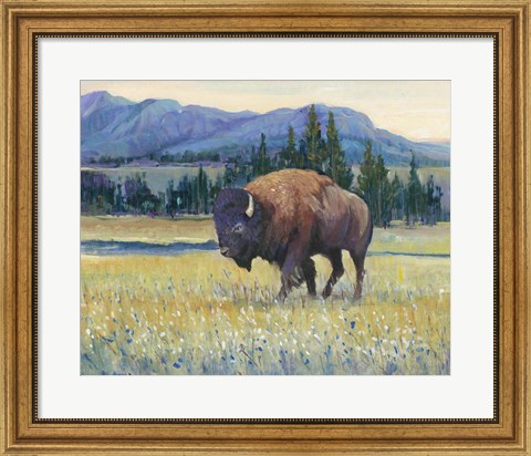 Framed Animals of the West II Print
