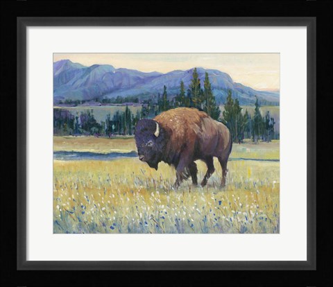 Framed Animals of the West II Print