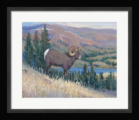 Framed Animals of the West III Print