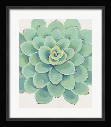Framed Pastel Succulent III Print