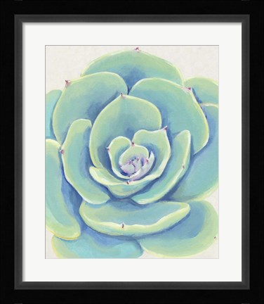 Framed Pastel Succulent IV Print