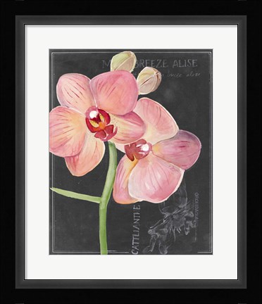 Framed Chalkboard Flower I Print