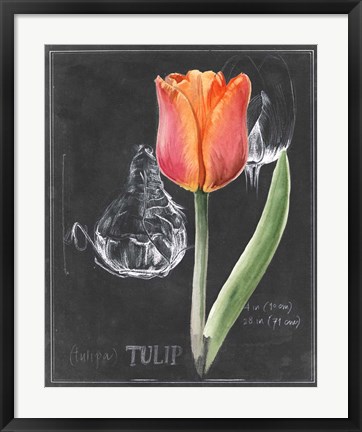 Framed Chalkboard Flower III Print