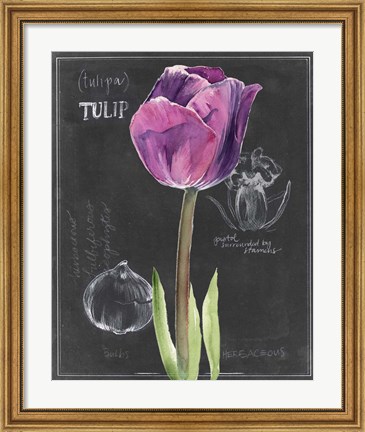 Framed Chalkboard Flower IV Print