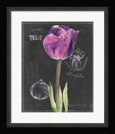 Framed Chalkboard Flower IV Print